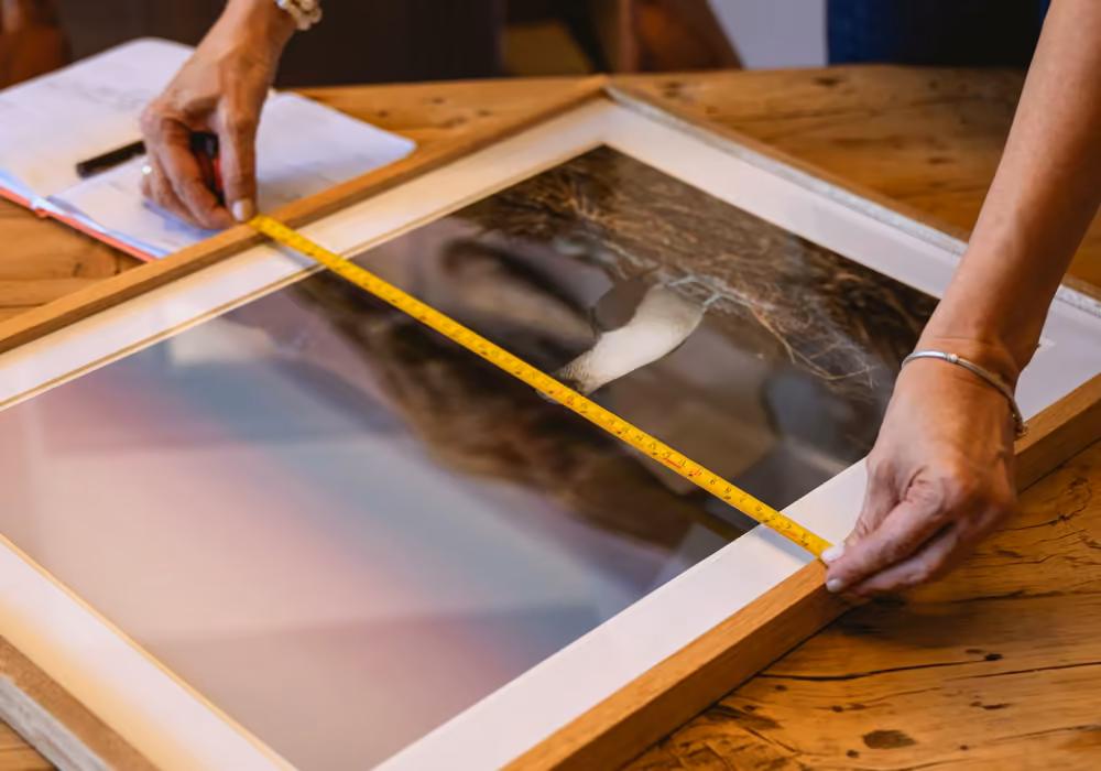 Photo Framing & Mounting image